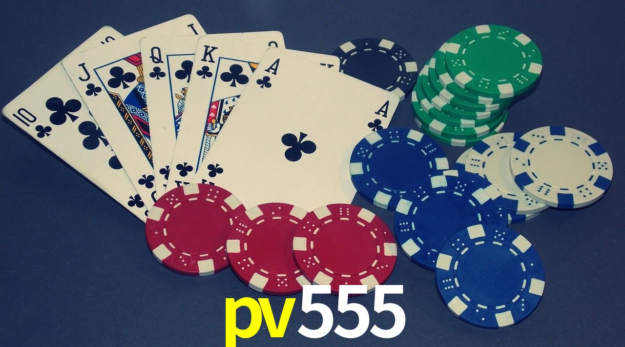 Experiência VIP pv555
